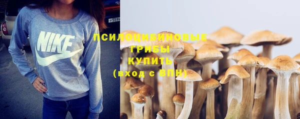 соль курить ск Зеленодольск