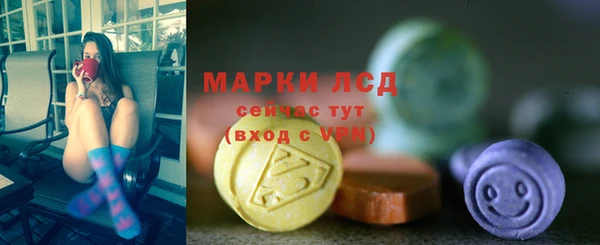 хмурый Зеленокумск