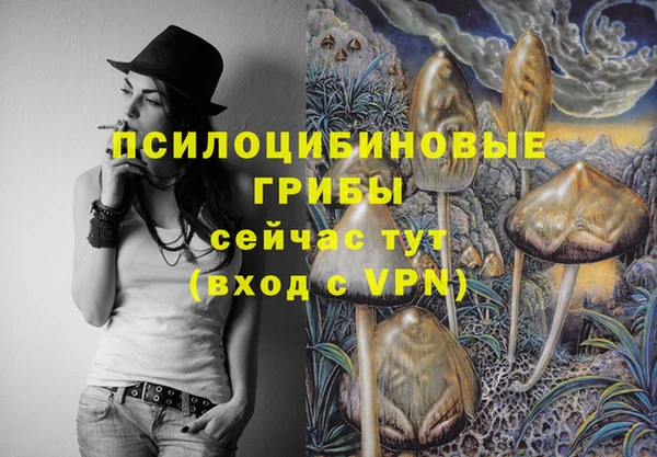 МДПВ Зерноград
