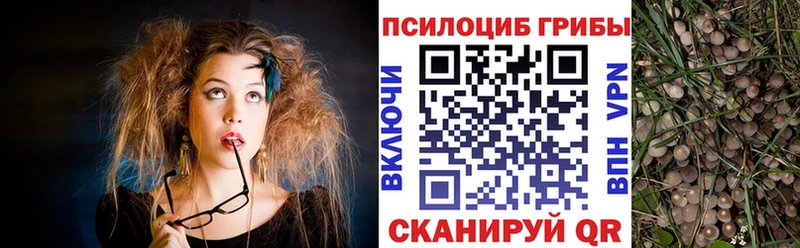 Галлюциногенные грибы мухоморы  Купить где  Мураши 